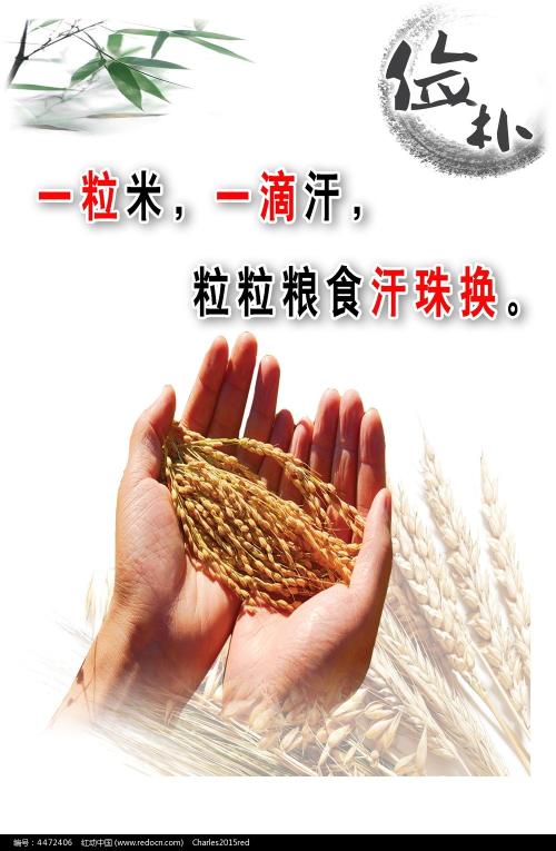 代办帕地兰德研究生院成绩单